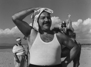 Белый шейх / The White Sheik / Lo sceicco bianco (1952) BDRip 720p, 1080p, BD-Remux