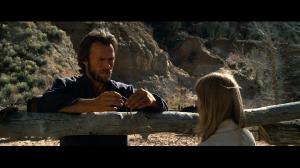   -    / The Outlaw Josey Wales (1976) BDRip 720p, 1080p, Blu-Ray Disc