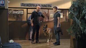 Пёс. Сезон 4 (2019) WEB-DL 1080p