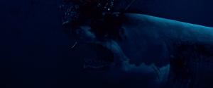 Закрытое море: Год акулы / L'ann&#233;e du requin (2022) BDRip 720p, 1080p