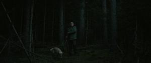 Тихий лес / The Silent Forest / Schweigend steht der Wald (2022) BDRip 720p, 1080p, BD-Remux