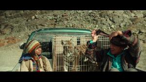Мой тигр / Ta'igara: An Adventure in the Himalayas / Il ragazzo e la tigre (2022) BDRip 720p, 1080p, BD-Remux