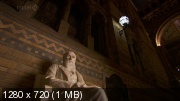 BBC:      / BBC: Charles Darwin and the Tree of Life (2009) HDTVRip 720p