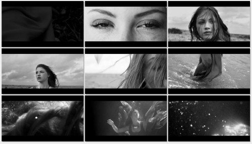 Seven Lions - Days to Come ft.Fiora (2012) HDrip 720p