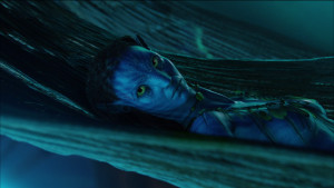 Аватар / Avatar (2009) [Extended Collector's Edition] BDRip 720p, 1080p, BD-Remux + [3D Theatrical Cut] BDRip 3D (HOU), Blu-Ray 3D CEE