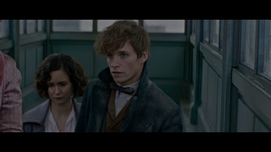       / Fantastic Beasts and Where to Find Them (2016) BDRip 720p, 1080p, BD-Remux