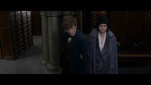       / Fantastic Beasts and Where to Find Them (2016) BDRip 720p, 1080p, BD-Remux