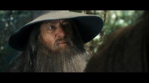Хоббит: Пустошь Смауга / The Hobbit: The Desolation of Smaug (2013) [Extended Edition] 4K HDR BD-Remux