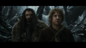 Хоббит: Пустошь Смауга / The Hobbit: The Desolation of Smaug (2013) [Extended Edition] 4K HDR BD-Remux