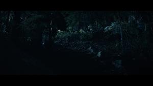 ,   / Stranger in the Woods (2024) WEB-DL 1080p, 4K SDR WEB-DL 2160p