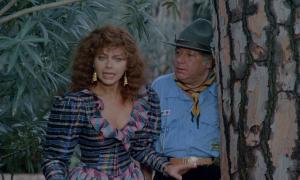    - / Bonnie e Clyde all'italiana (1982) WEB-DL 1080p