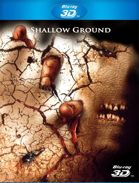   / Shallow Ground (2004)  BDRip 3D (H-SBS), Blu-Ray Disc  [3D/2D]
