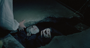 :   / Nosferatu the Vampyre / Nosferatu: Phantom der Nacht (1979) BDRip 720p, 1080p, BD-Remux